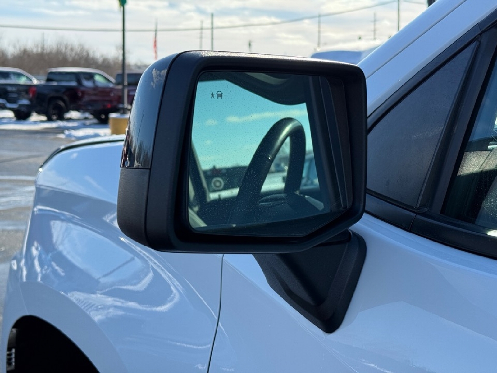 2020 Chevrolet Silverado 1500 4WD Crew Cab Short Bed LT Trail Boss, 39161, Photo