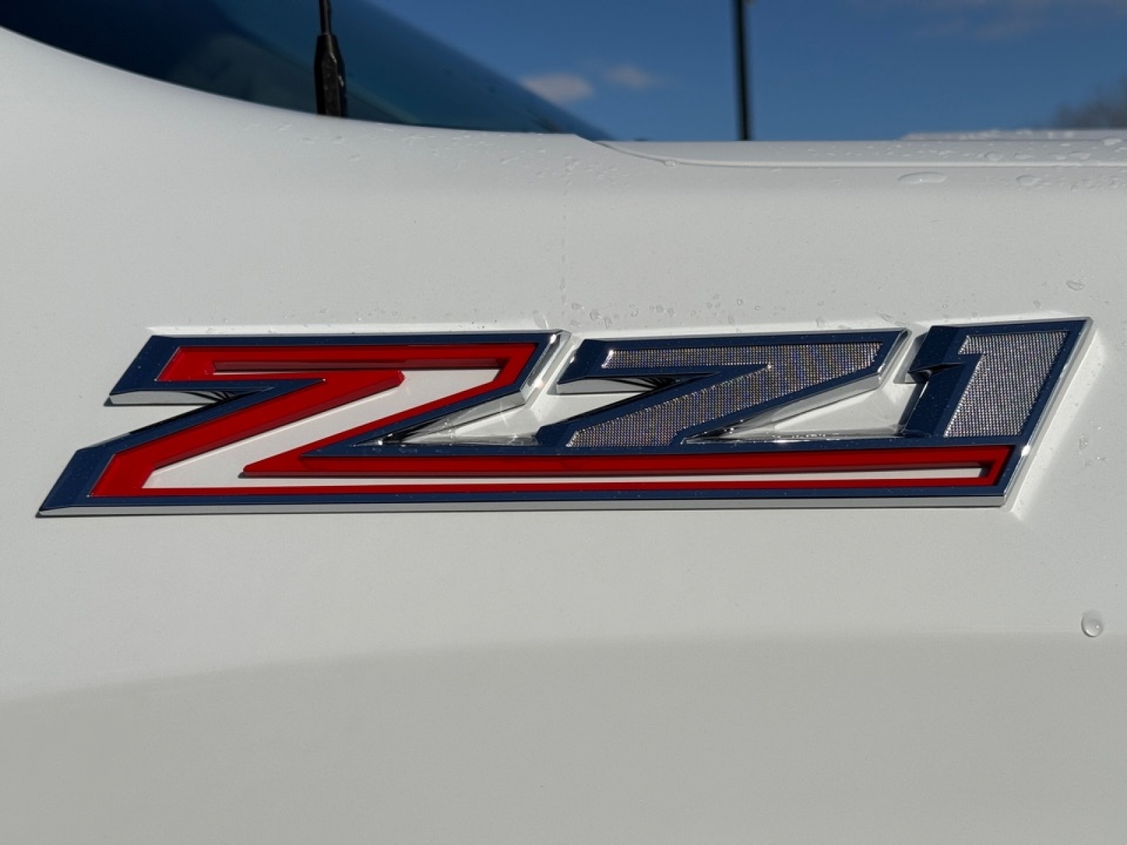 2020 Chevrolet Silverado 1500 4WD Crew Cab Short Bed LT Trail Boss, 39161, Photo