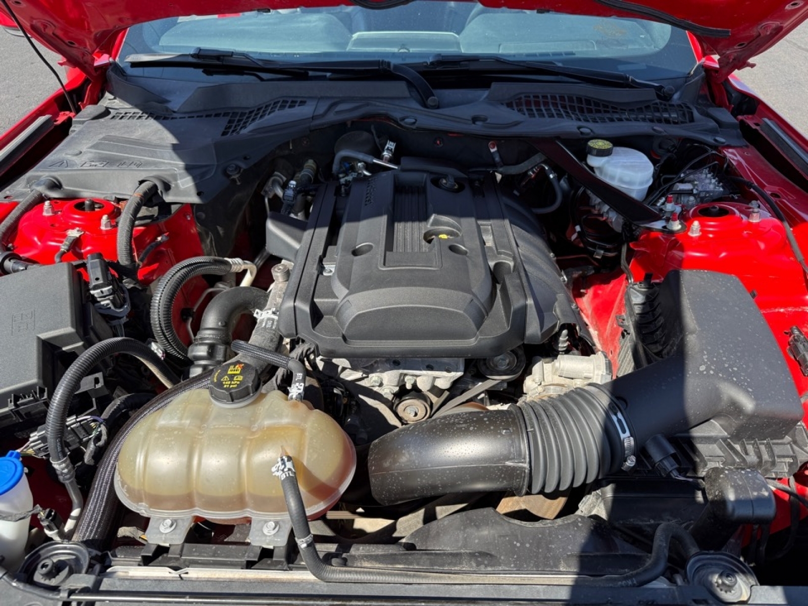 2020 Ford Mustang EcoBoost Premium Convertible, 39624, Photo