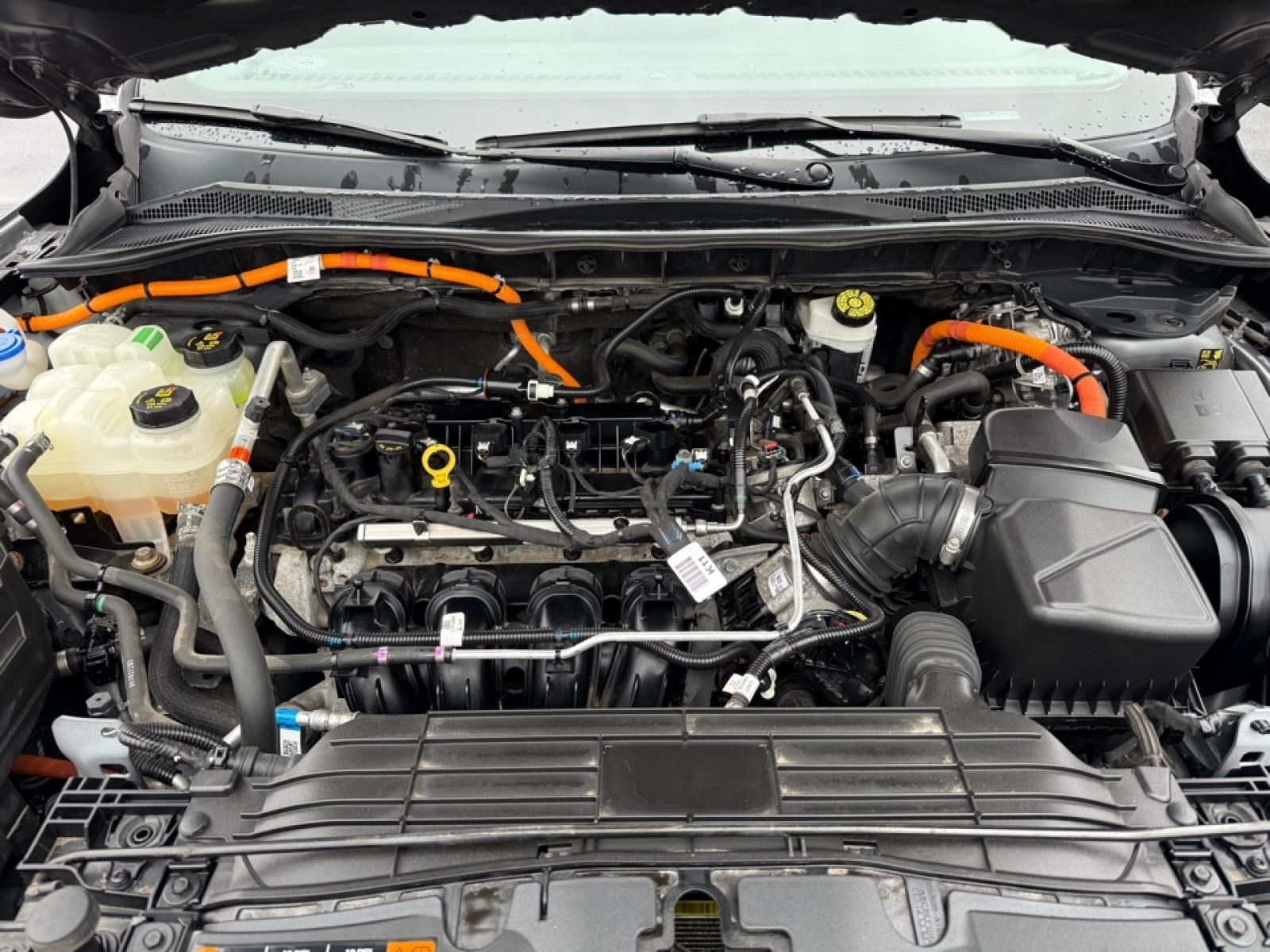 2021 Ford Escape Titanium Hybrid, 39206, Photo