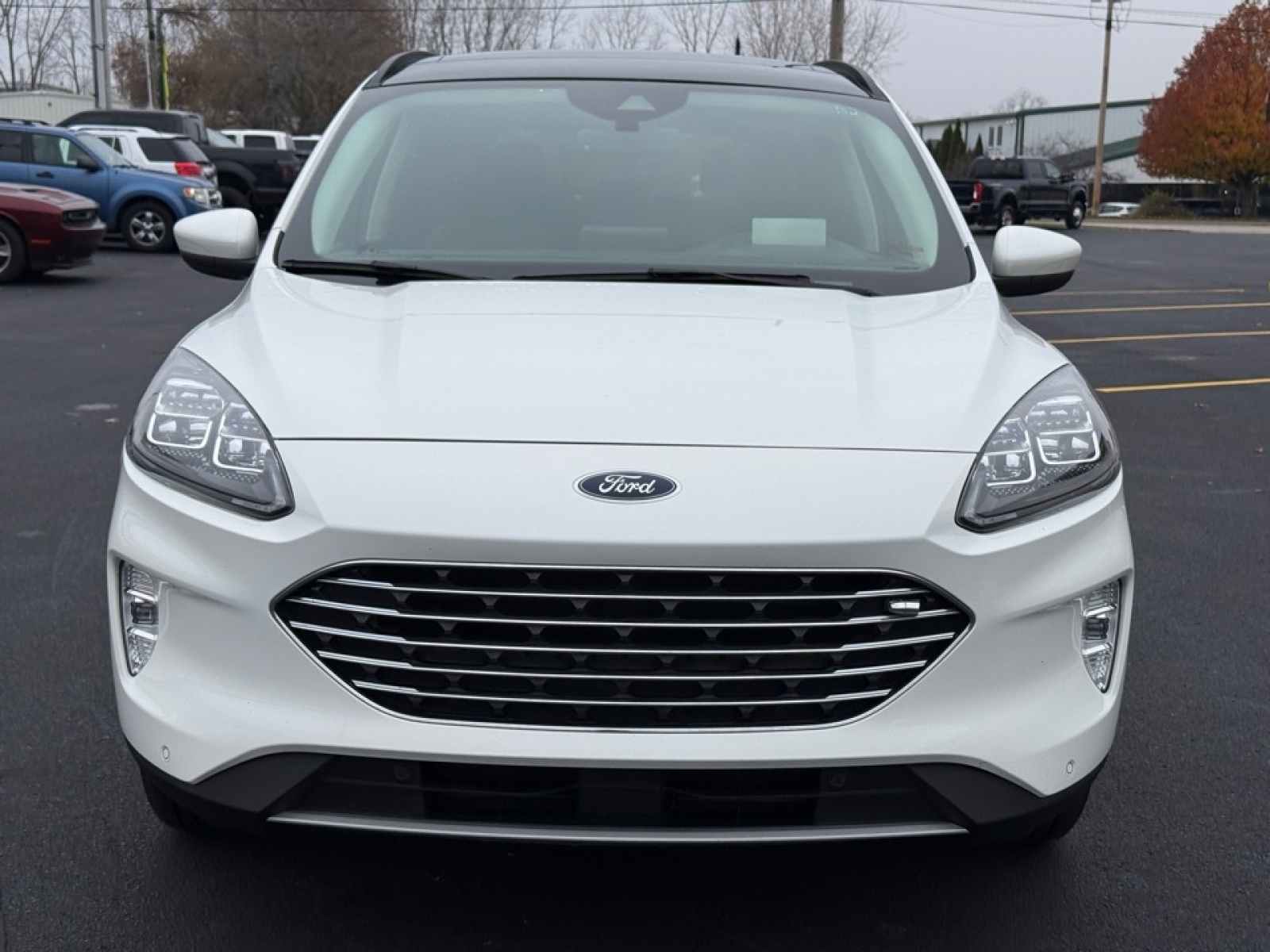 2021 Ford Escape PHEV Titanium, 39204, Photo