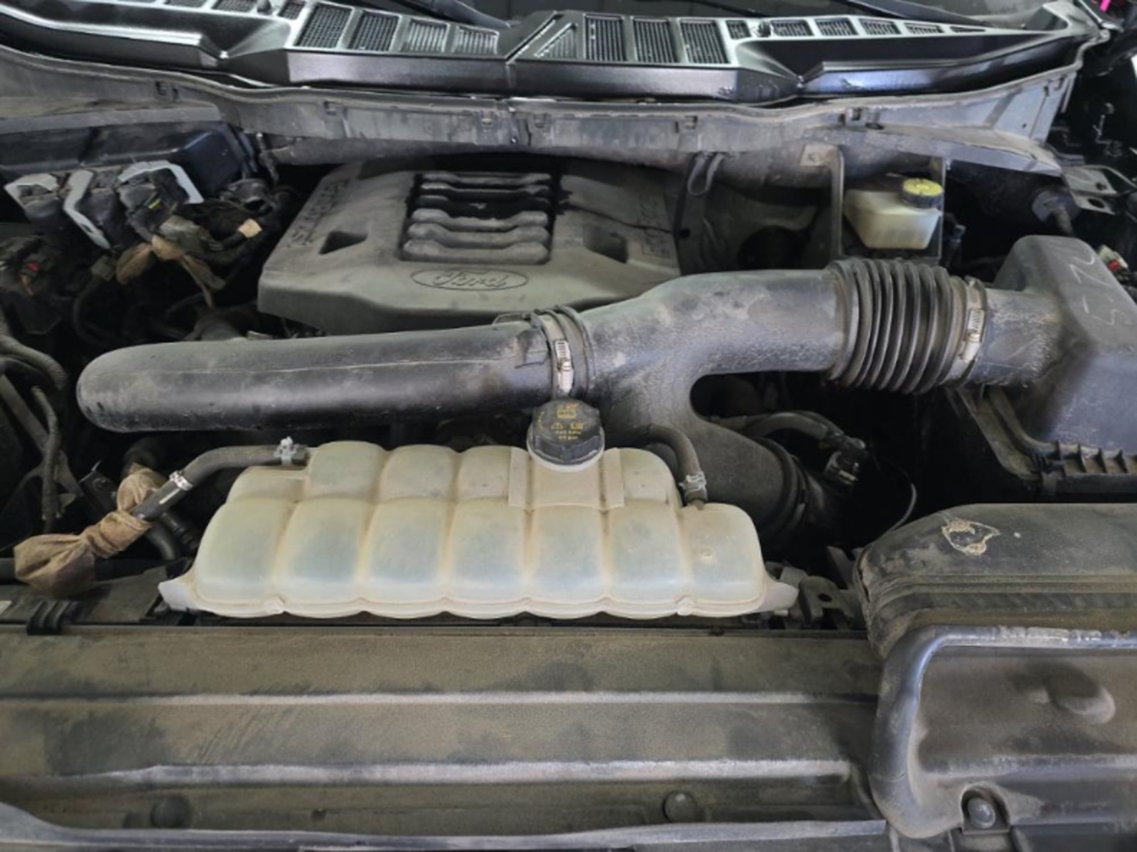 2021 Ford F-150 XLT, 39848, Photo