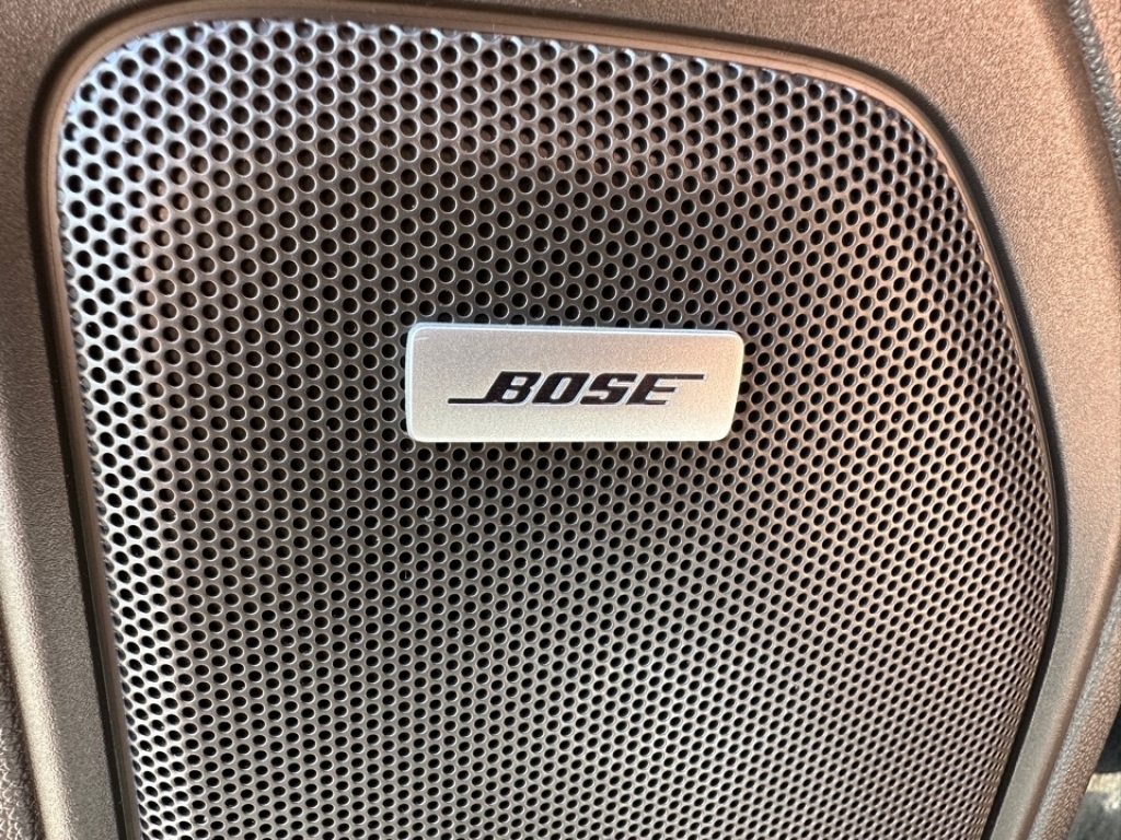 2021 GMC Sierra 1500 Denali, 39113, Photo