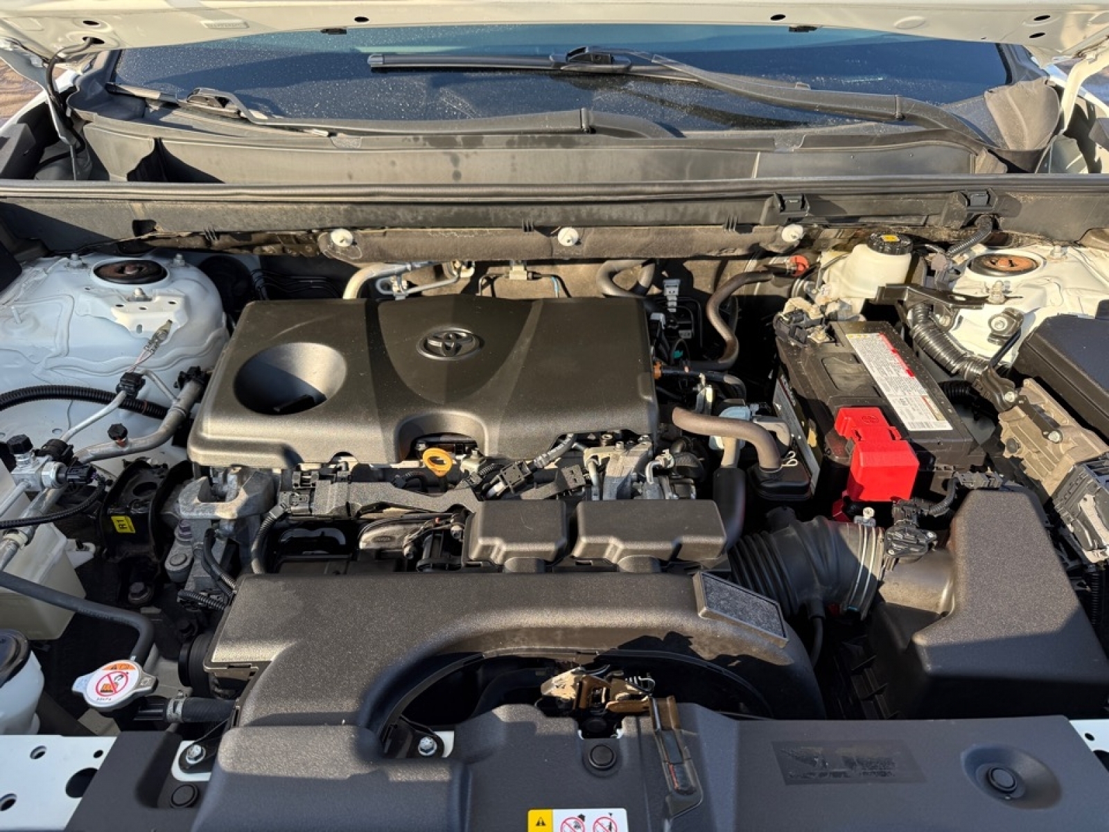 2021 Toyota RAV4 LE, 39321, Photo