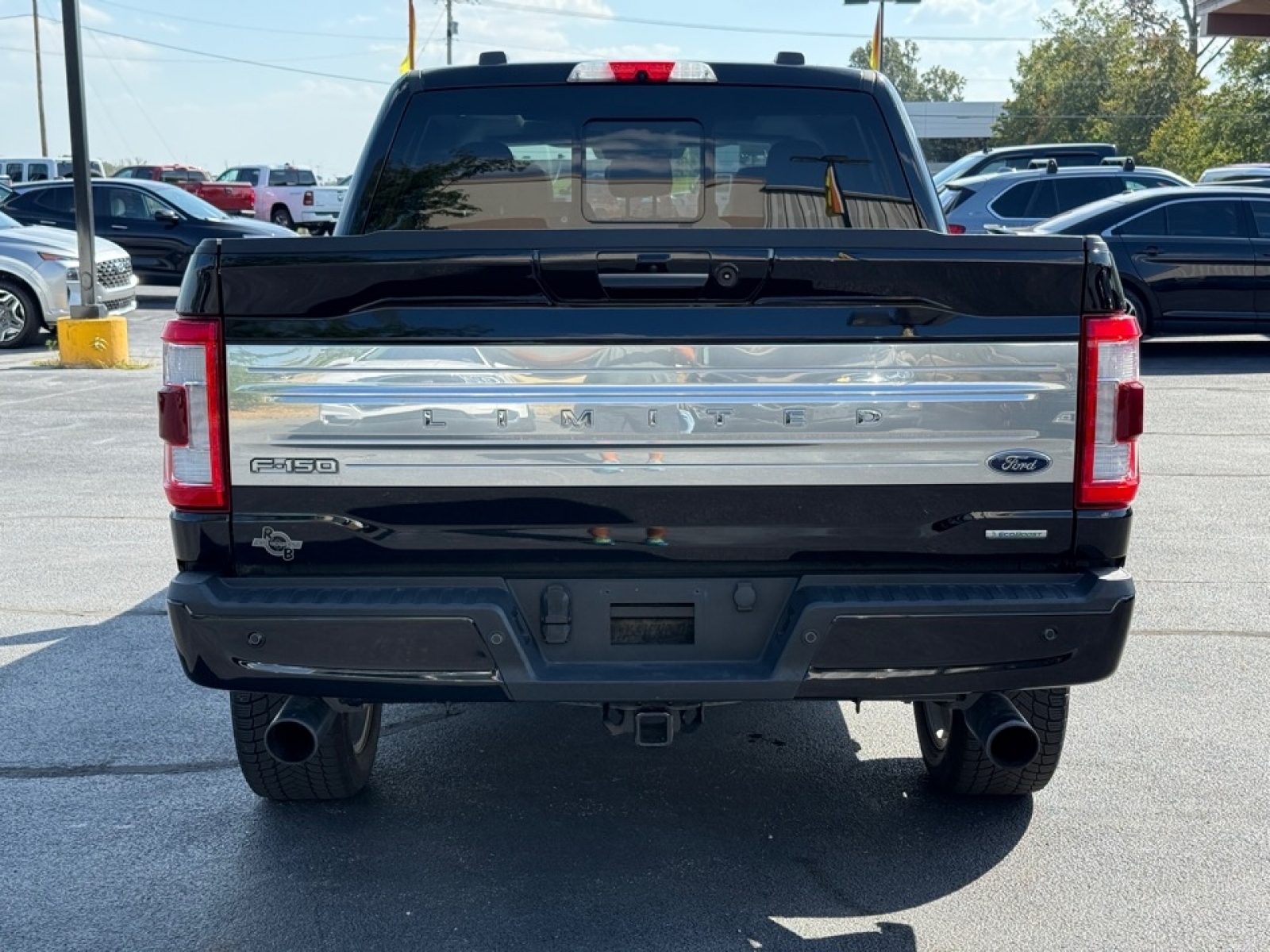 2022 Ford F-150 Limited, 38960, Photo
