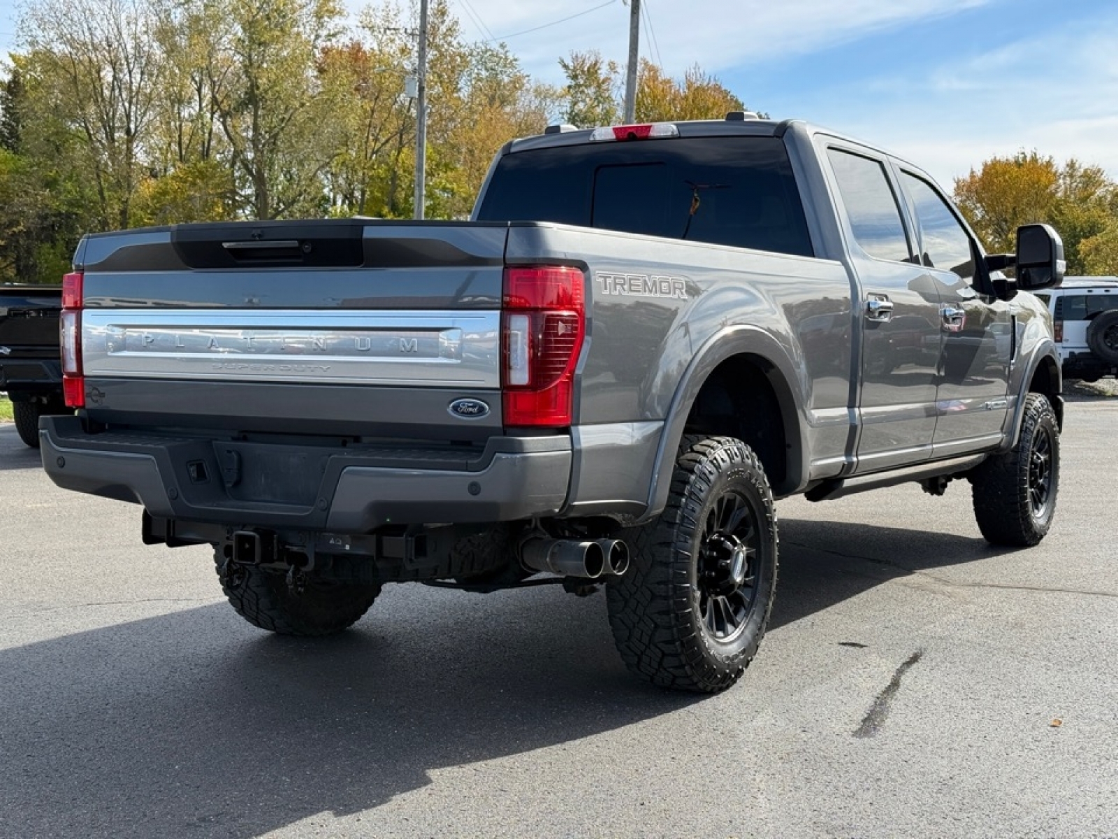2022 Ford F-350 Platinum, 39118, Photo