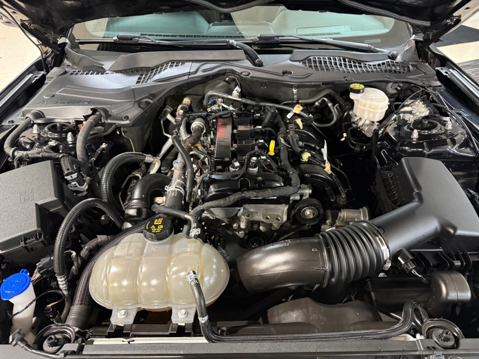 2022 Ford Mustang EcoBoost Fastback, 39050, Photo