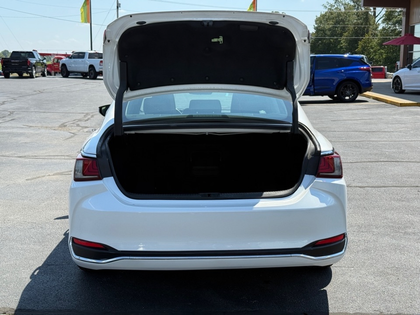 2022 Lexus ES 250 ES 250 Auto, 38772, Photo