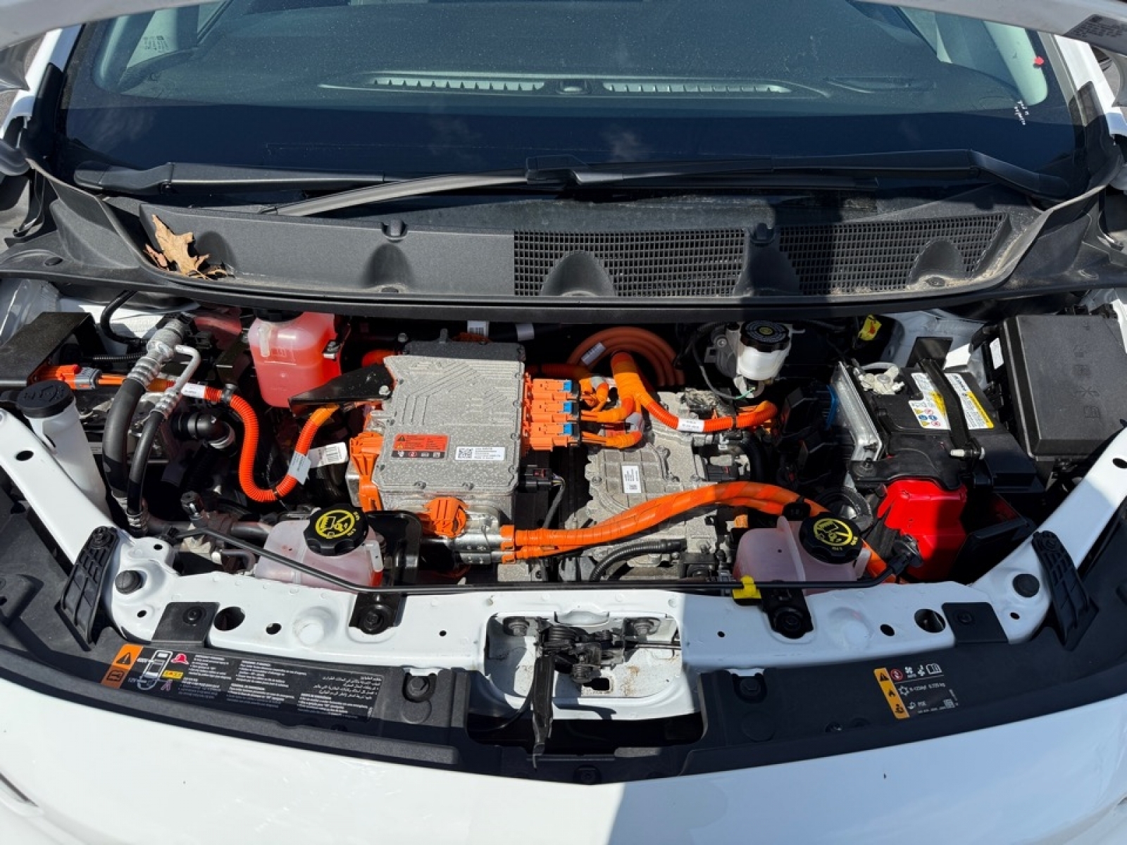 2023 Chevrolet Bolt EV FWD 1LT, 39575, Photo