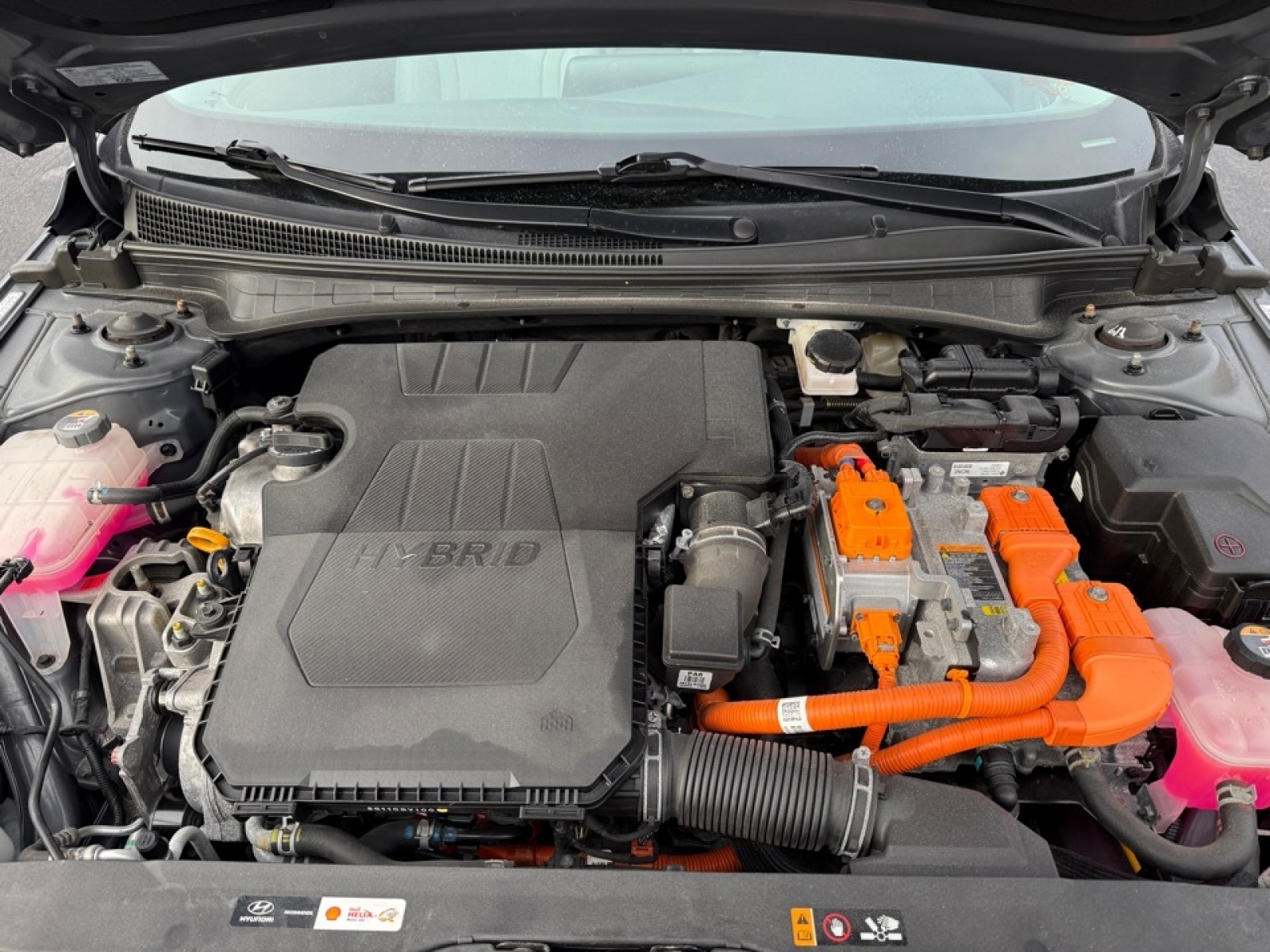 2023 Hyundai Elantra Hybrid Limited, 39245, Photo