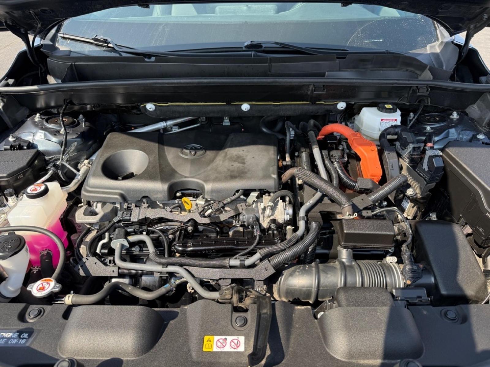 2023 Toyota Venza XLE, 39635, Photo