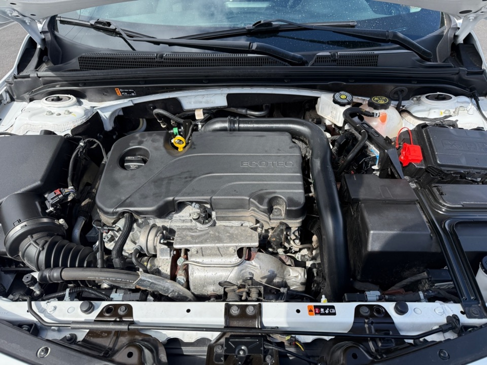 2024 Chevrolet Malibu 1LT, 39665, Photo