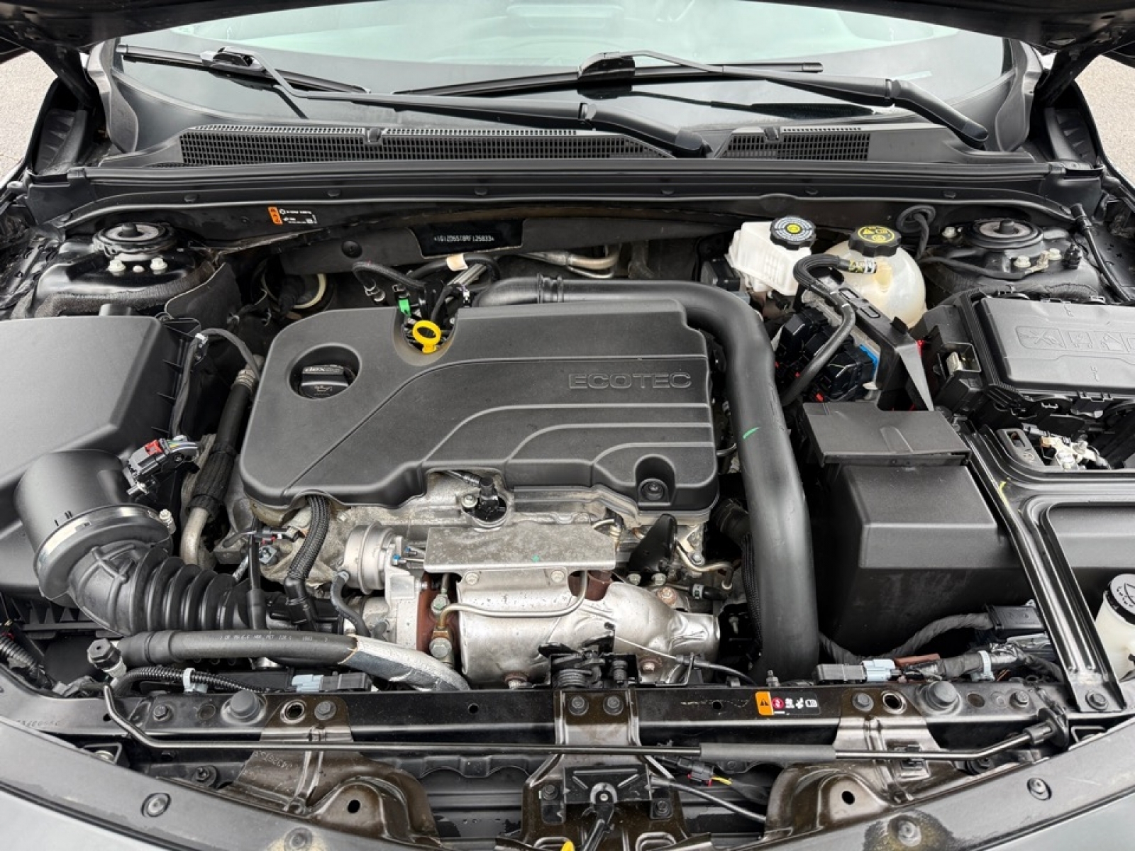 2024 Chevrolet Malibu FWD 1LT, 39744, Photo