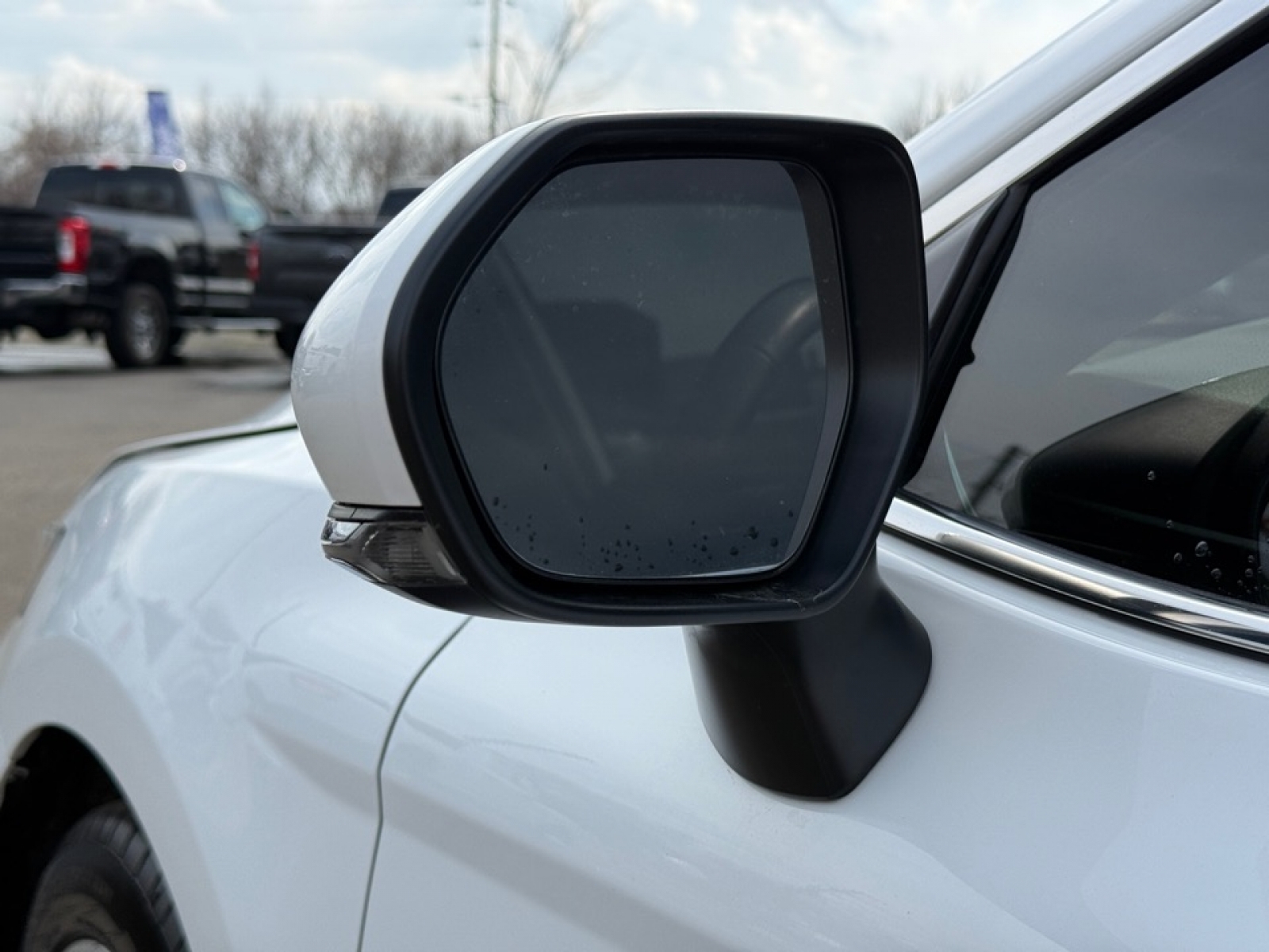 2024 Toyota Camry SE, 39562, Photo