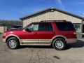 2014 Ford Expedition XLT, W2480, Photo 6