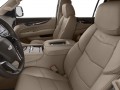 2017 Cadillac Escalade Esv Platinum Edition, DM304B, Photo 9