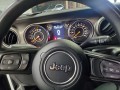 2020 Jeep Wrangler Unlimited Sport, JP100A, Photo 14