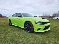 Used, 2019 Dodge Charger R/T, Green, W2060-1