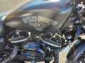 2018 Harley Davidson Iron 883, 34004Z, Photo 5