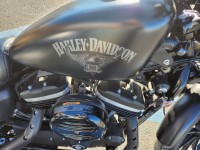 2018 Harley Davidson Iron