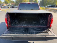 2015 Ford F-150 38209X