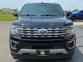 2020 Ford Expedition Max Limited, 35602, Photo 3