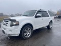2009 Ford Expedition Limited, W2419, Photo 7