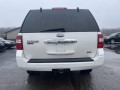 2009 Ford Expedition Limited, W2419, Photo 4