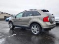 2013 Ford Edge Limited, W2396, Photo 5