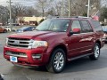 2017 Ford Expedition Limited, BT6482, Photo 9