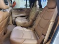 2017 Cadillac Escalade 4WD 4dr Platinum, 3131, Photo 10