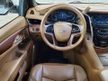 2017 Cadillac Escalade 4WD 4dr Platinum, 3131, Photo 16