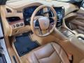 2017 Cadillac Escalade 4WD 4dr Platinum, 3131, Photo 21