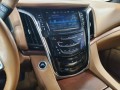 2017 Cadillac Escalade 4WD 4dr Platinum, 3131, Photo 28