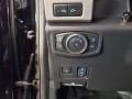 2017 Ford Super Duty F-250 Srw Platinum 4WD Crew Cab 8' Box, 3080, Photo 17