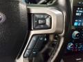 2017 Ford Super Duty F-250 Srw Platinum 4WD Crew Cab 8' Box, 3080, Photo 21