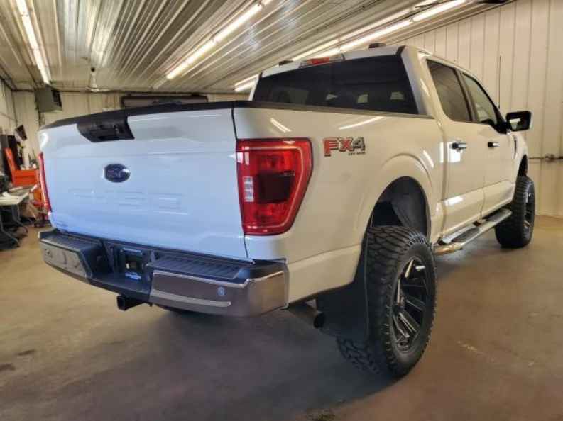 2023 Ford F-150 XLT - Photo 3
