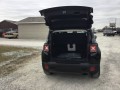 2020 Jeep Renegade Limited, L03094, Photo 22