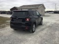 2020 Jeep Renegade Limited, L03094, Photo 3
