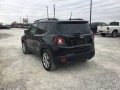 2020 Jeep Renegade Limited, L03094, Photo 5