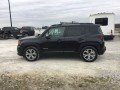 2020 Jeep Renegade Limited, L03094, Photo 6